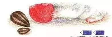 彩铅三只仓鼠图片,小仓鼠彩铅教程