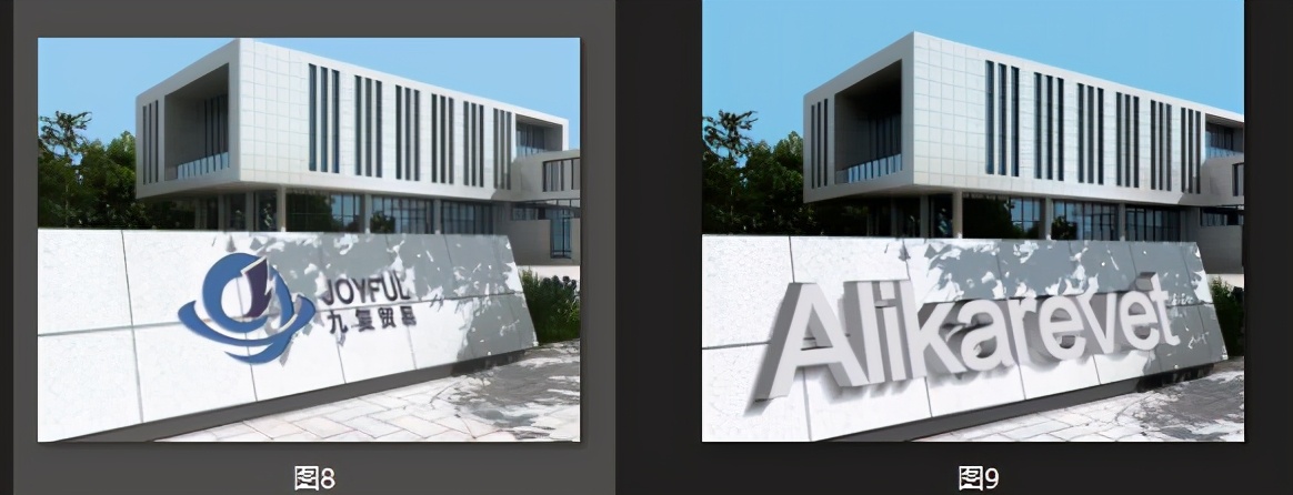 美国宠食真相网站2021认可猫狗粮榜单出炉,6款大陆有售