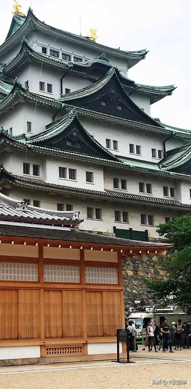 五一去日本看樱花,五一假期日本