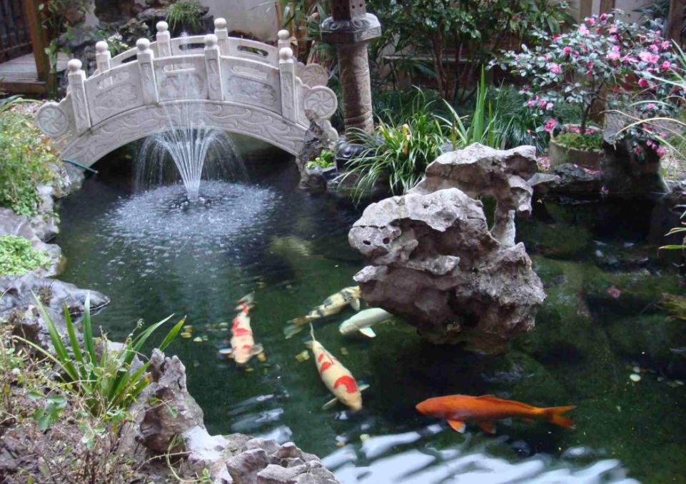 庭院鱼池的最佳位置如何布局,庭院鱼池是深的好还是浅的好