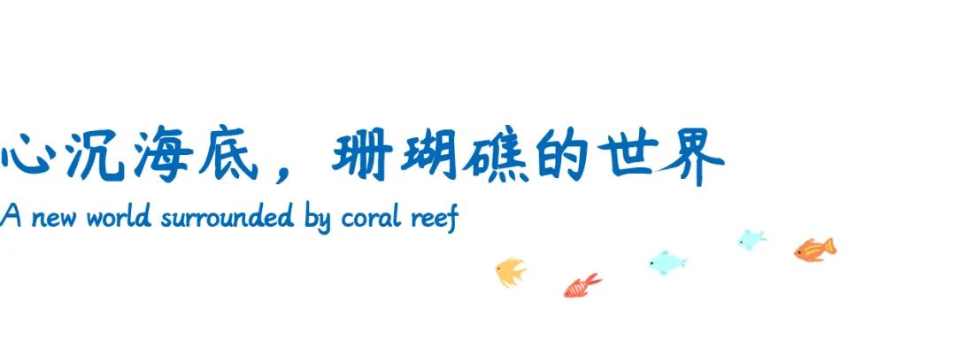 神秘海洋系婚礼,神秘海洋婚礼