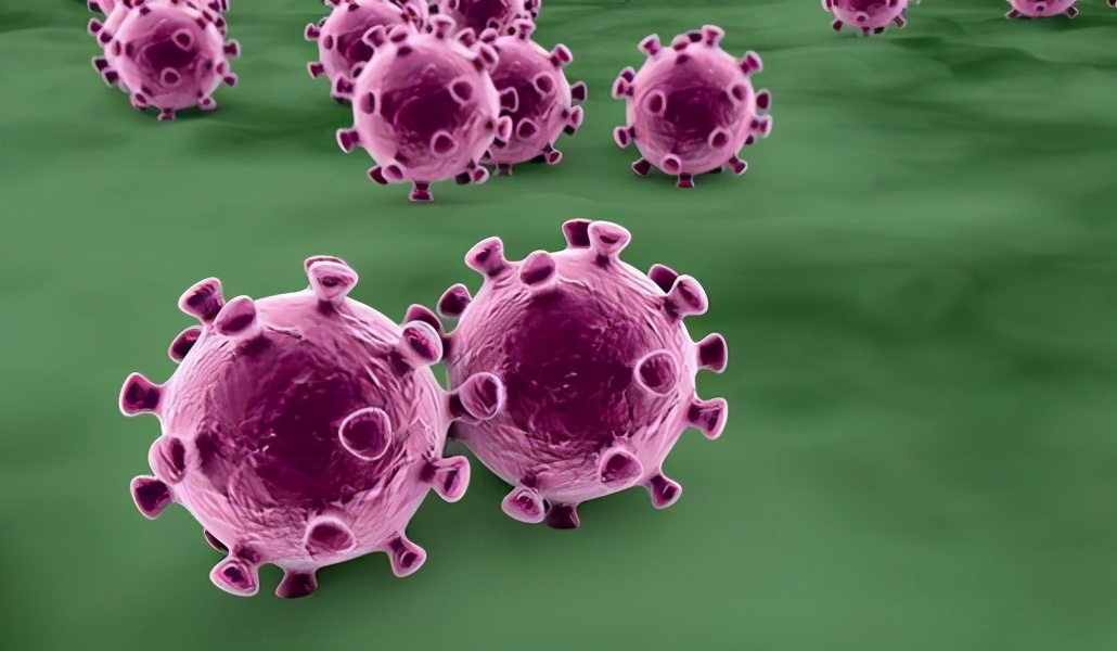 白血病复发女,白血病女孩骨髓复发