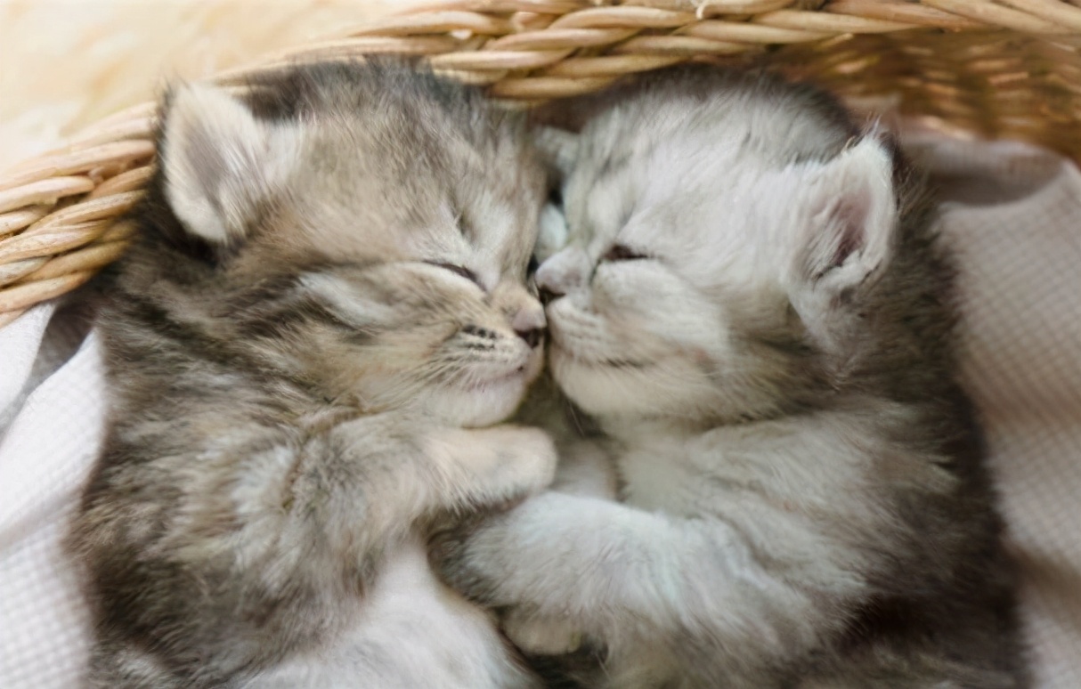 50多岁男性经常多梦失眠,60多岁男人晚上失眠是更年期吗