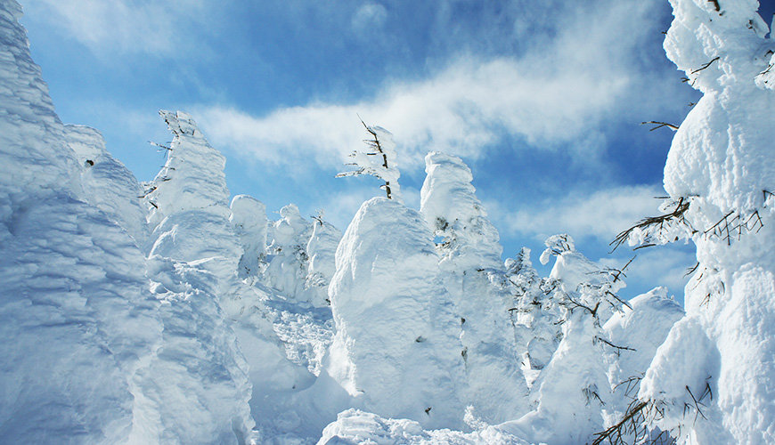 日本藏王山雪怪的最佳观赏期,日本藏王树冰景点