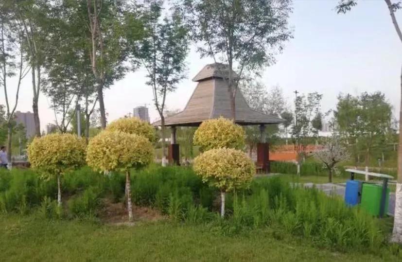 乌鲁木齐和石河子,石河子和乌鲁木齐哪个更适合发展