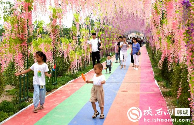 6月21日,新闻中的韩城事(组图)