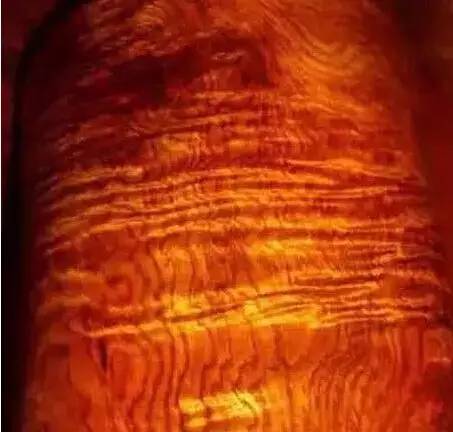 假冒的海南黄花梨,海南黄花梨原木如何鉴别真假