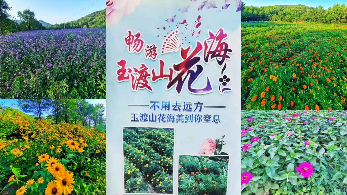 北京延庆周边野游有山有水,北京延庆山顶草甸