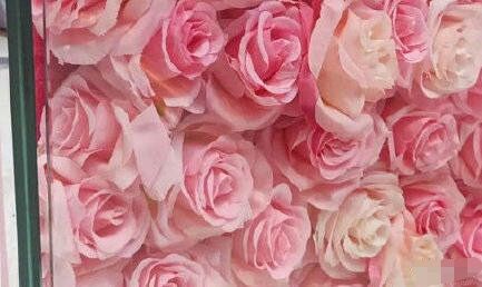 何猷君求婚钻戒视频,何猷君求婚奚梦瑶钻戒