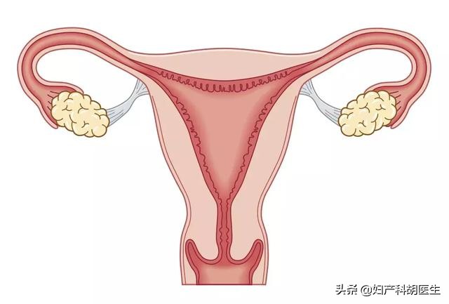 怀孕生产麻烦多?医生说,好处也不少,这些你都了解吗