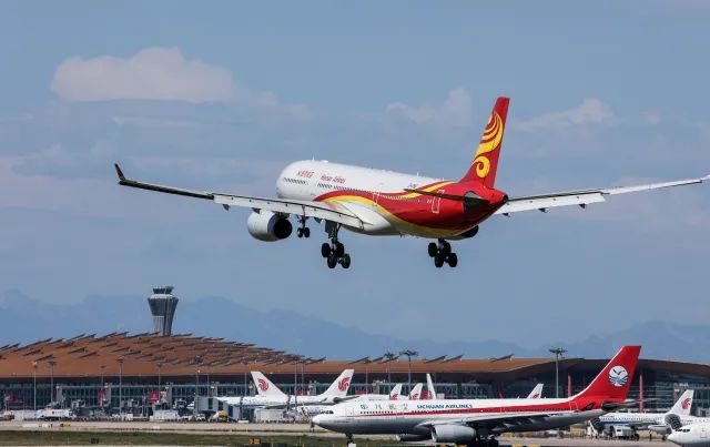 佳能rf100-500mm镜头拍鸟,佳能长焦相机100倍