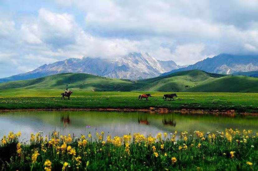 做高原好牛奶蓝逸“牦牛壮壮”唱响“新康定情歌”