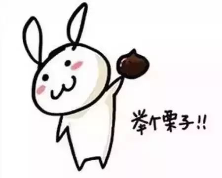 新西兰政府最新规定,新西兰最新禁令