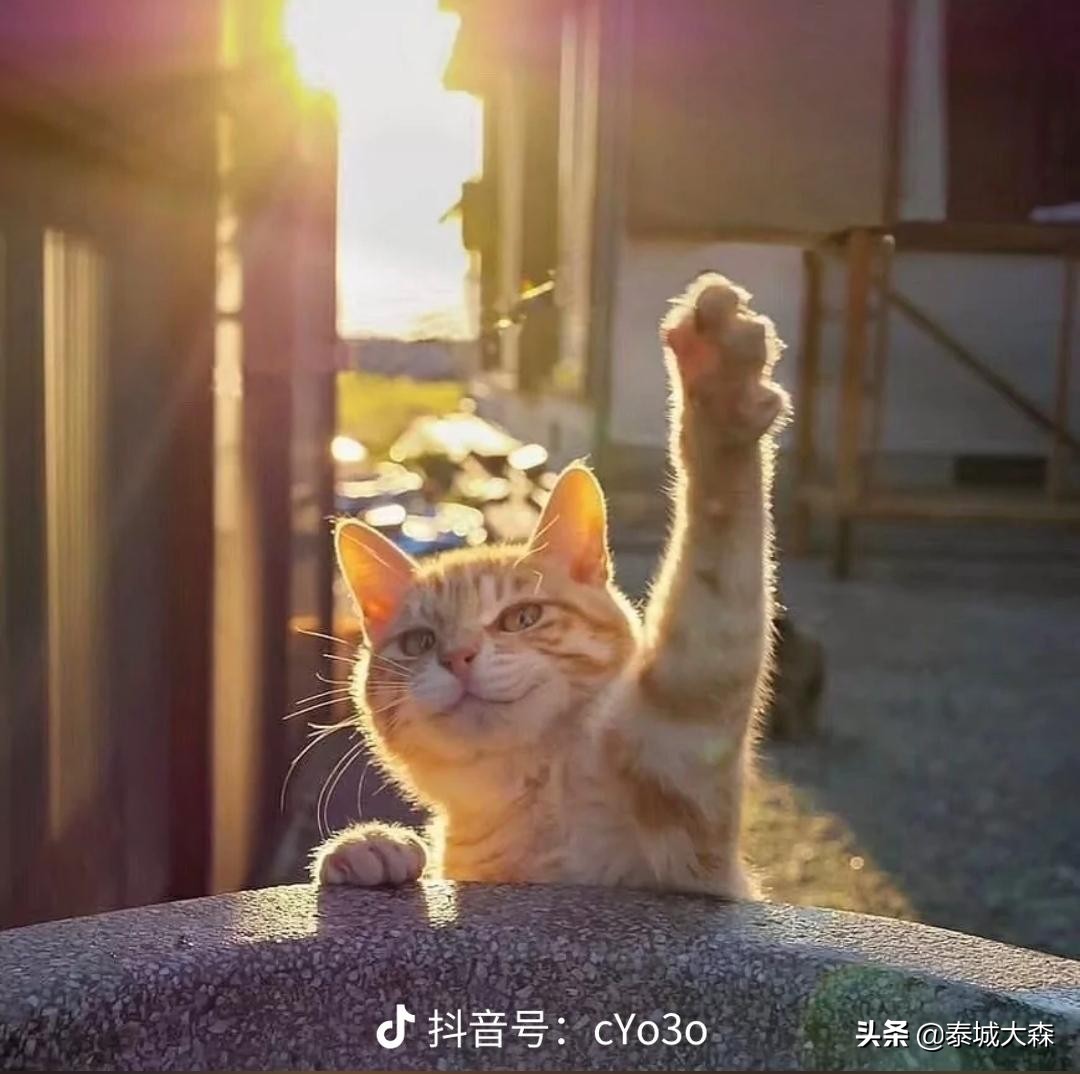 六条重要经验五个关系指的啥,申论六要素和三大衍生要素