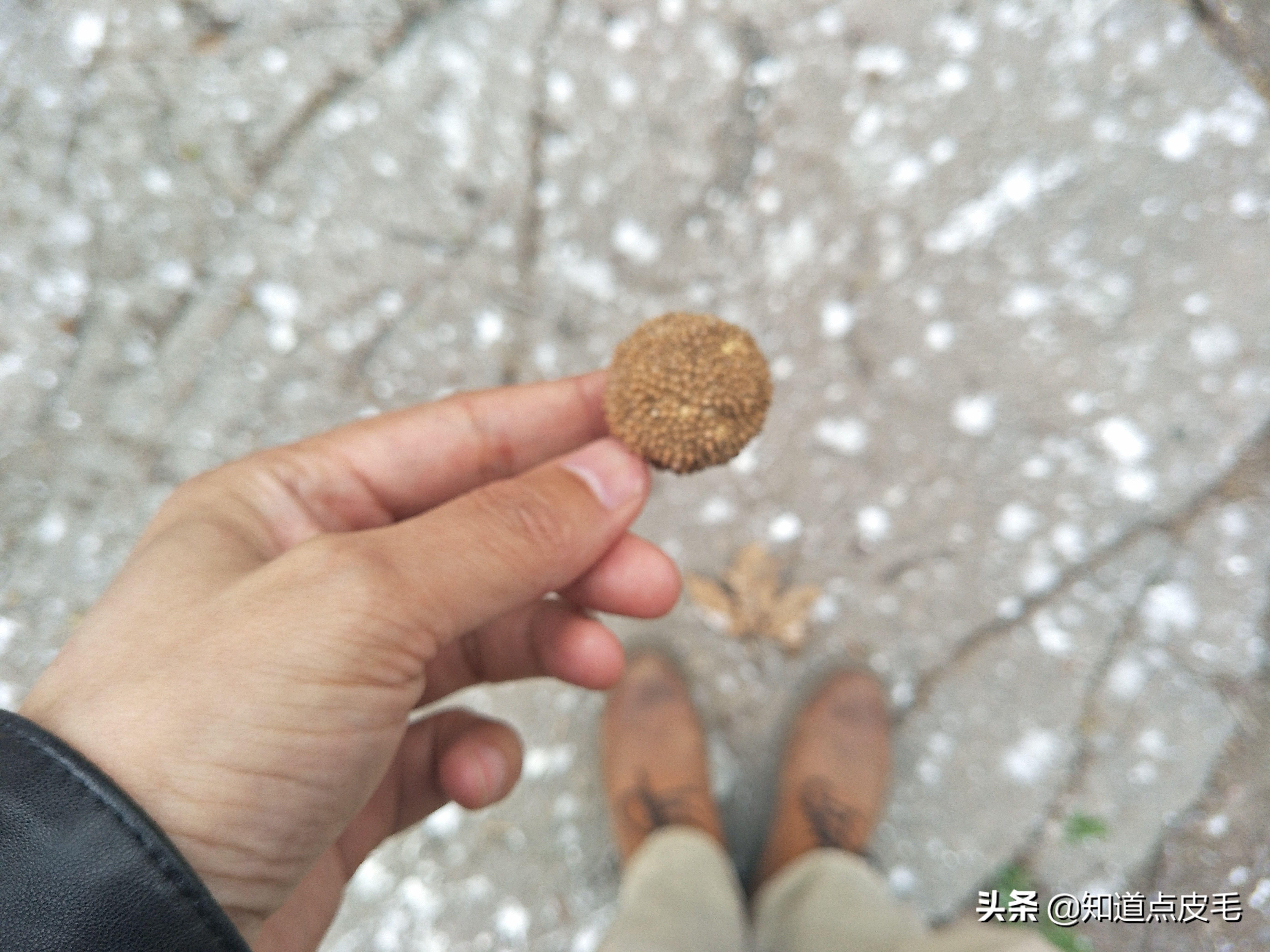 童年的回忆农村,童年的回忆维吾尔族