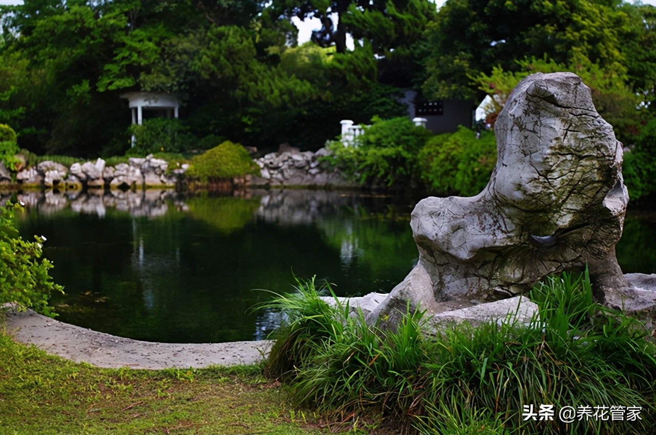 十大园林景观石的特征产地及应用,十大景观石排名