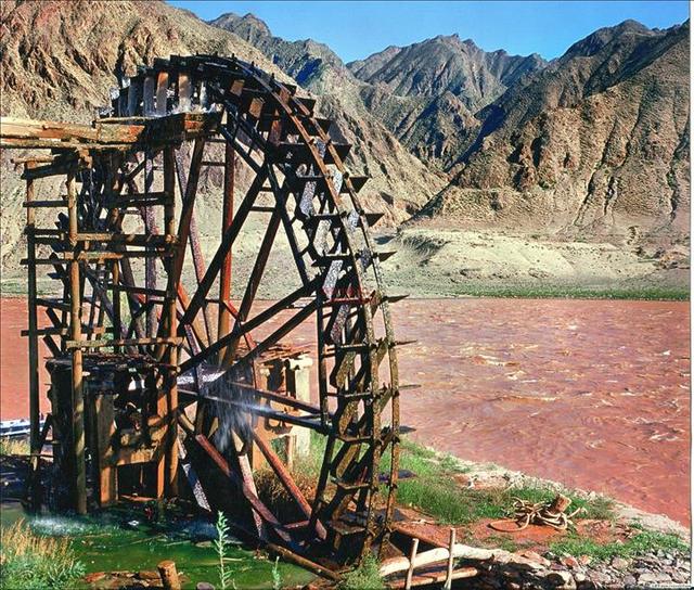 中医的脾与西医的脾不一样,趣谈中医