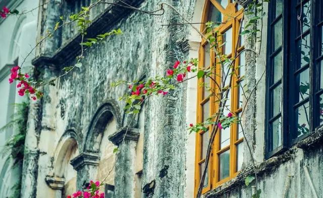 比鼓浪屿大12倍,比三亚安静10倍!这小岛最适合现在去,美轮美奂