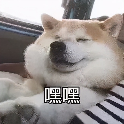 娇韵诗青春赋活分龄精华粉水200ml,娇韵诗红色分龄精华水