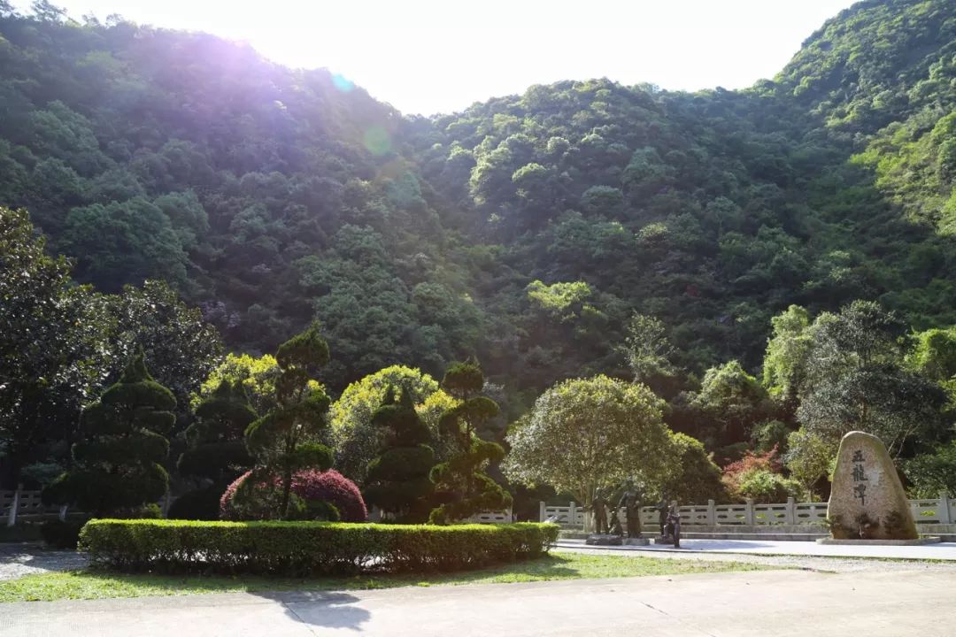 宁波避暑耍水胜地,宁波森林氧吧景区