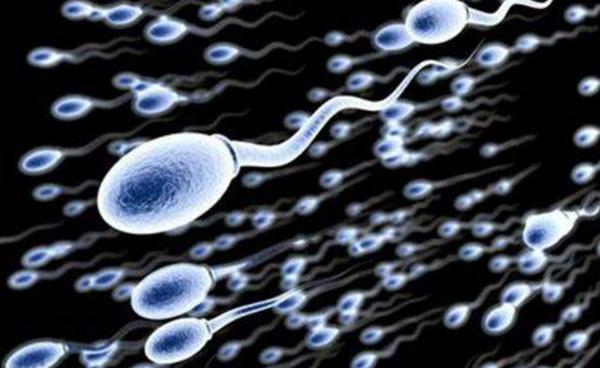 精子的控诉：我是怎么倒在路上的！备孕未果的夫妻应该看看