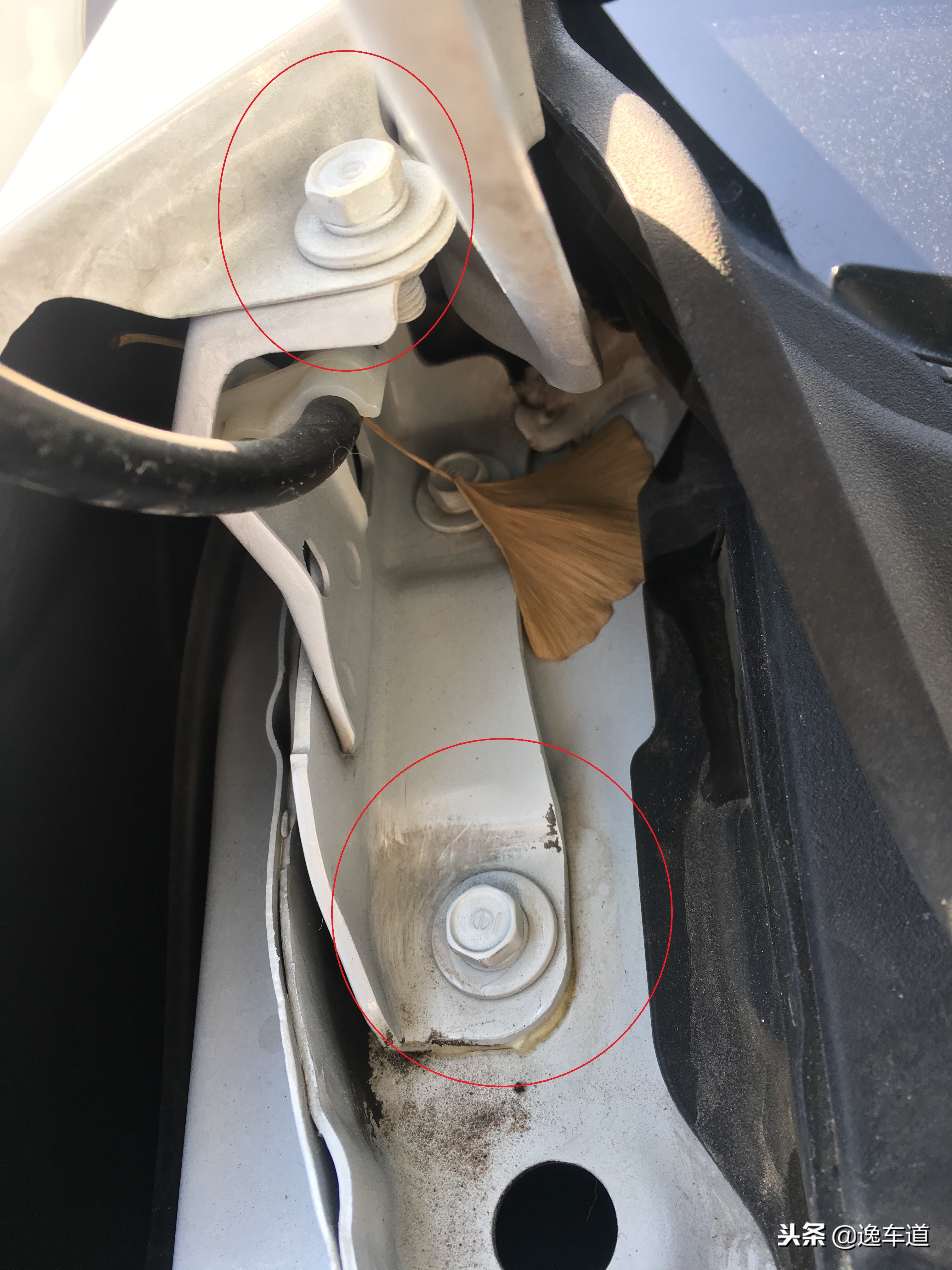 本田思域怎样才算暴力驾驶,思域道路检测