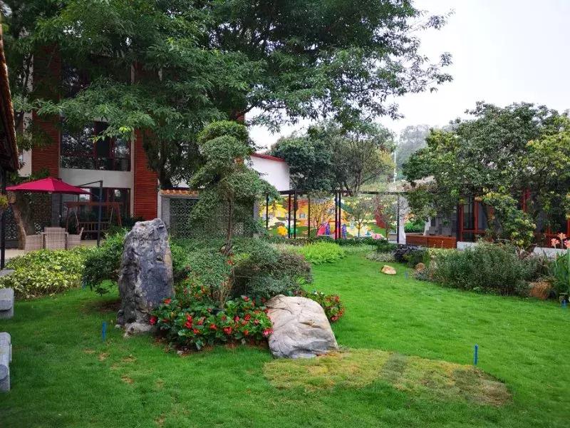 西塘古镇民宿排行榜,这里的民宿堪称世外桃源