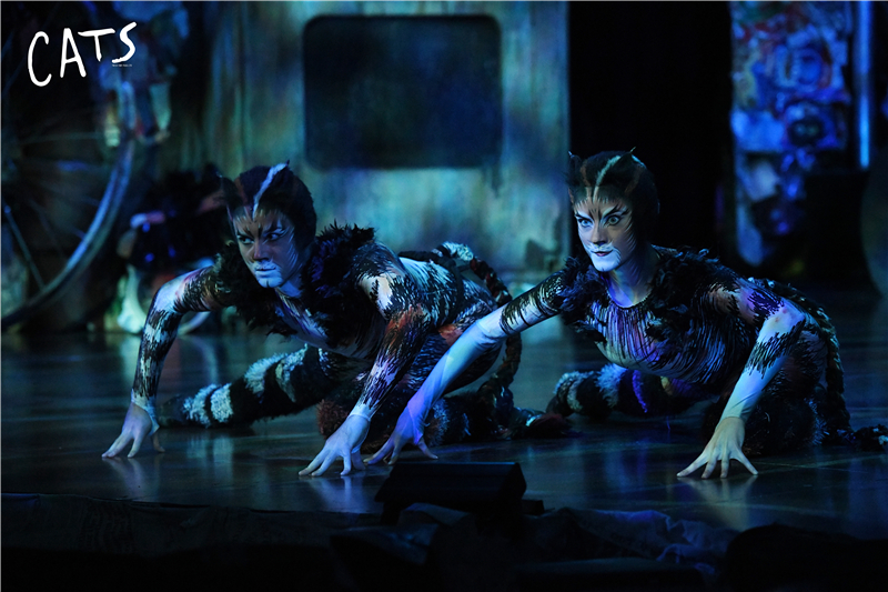 天津大剧院音乐剧演出,天津音乐剧2020