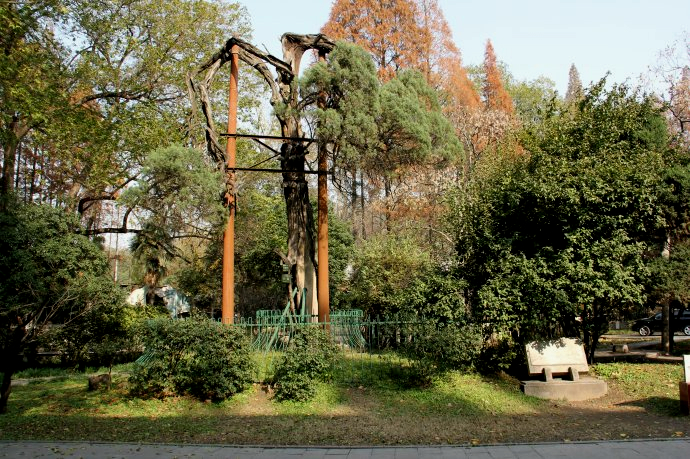 王羲之清华大学,王羲之行书高考题词