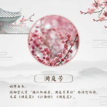 双调词过片的写法（摘自夏承焘先生）