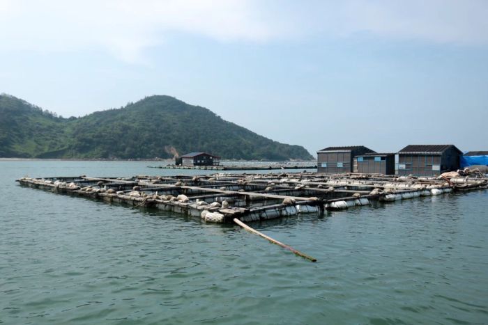 漳州最值得推荐旅游景点,漳州游玩十大景点推荐一下