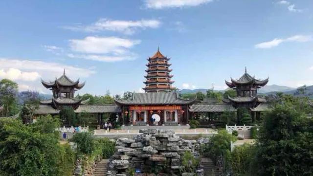 红色宝石树图片,红色宝石