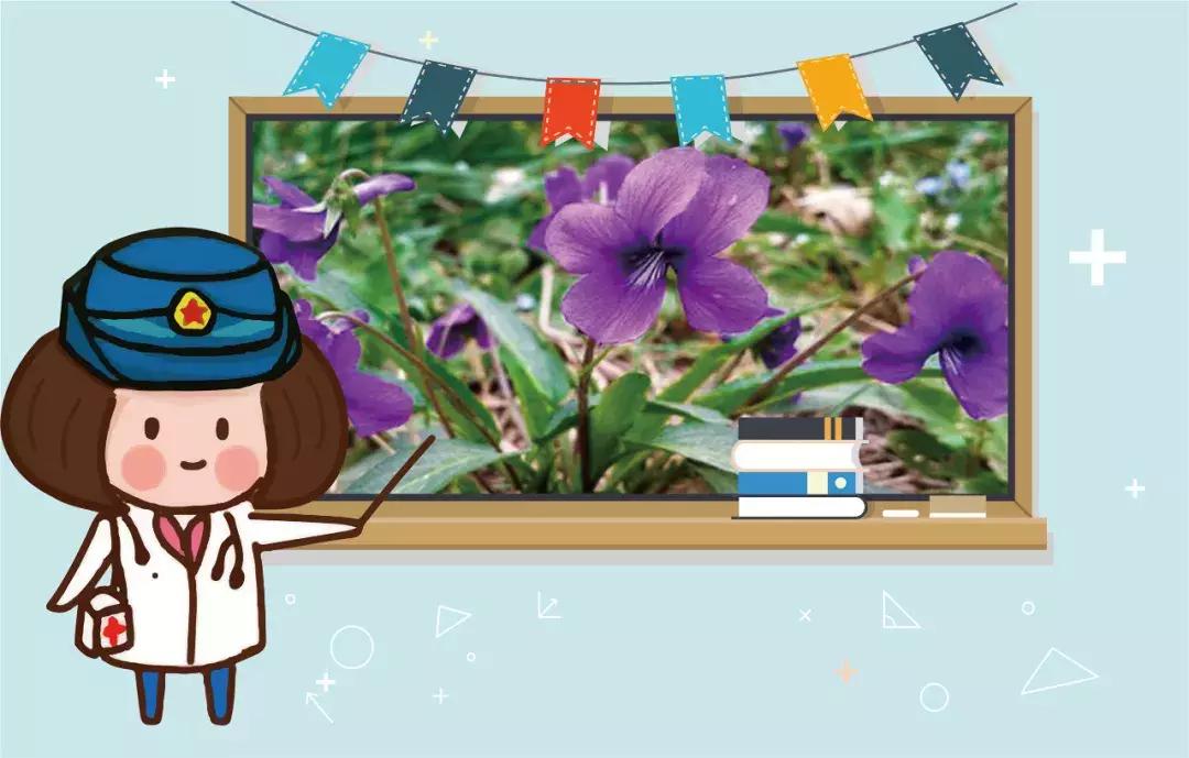 军医小茵,军医小茵所有视频