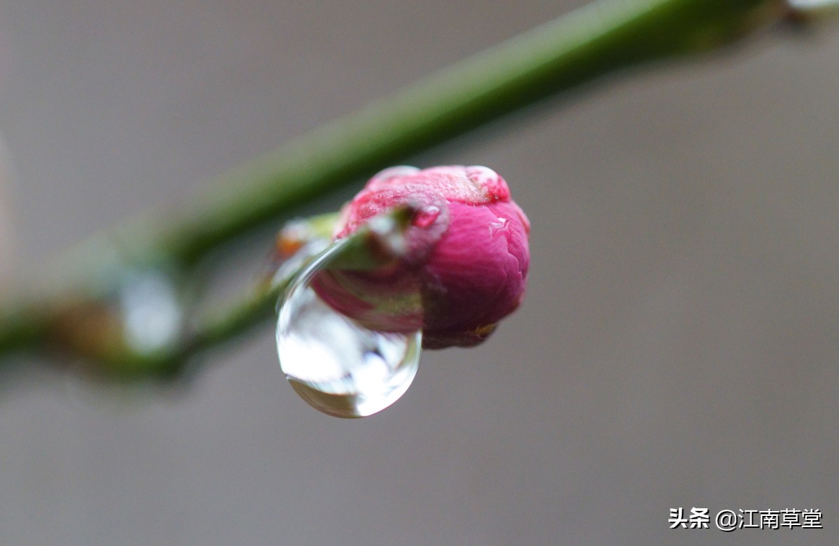 体制内文秘工作主要是干什么,体制内的文秘岗做什么工作