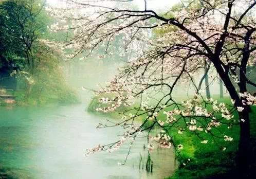 一日一诗送朋友七绝,风入松寄柯敬仲阅读答案