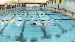 自由泳怎么游怎么发力主要练什么,自由泳快速游的技巧