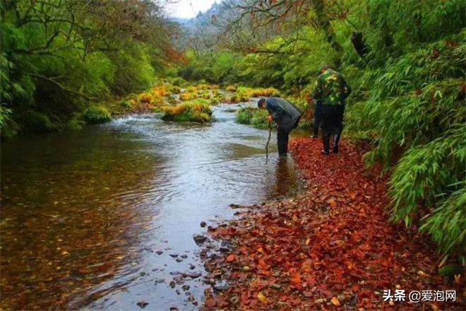 峨眉山和瓦屋山哪个更好,峨眉山一日游精选游记