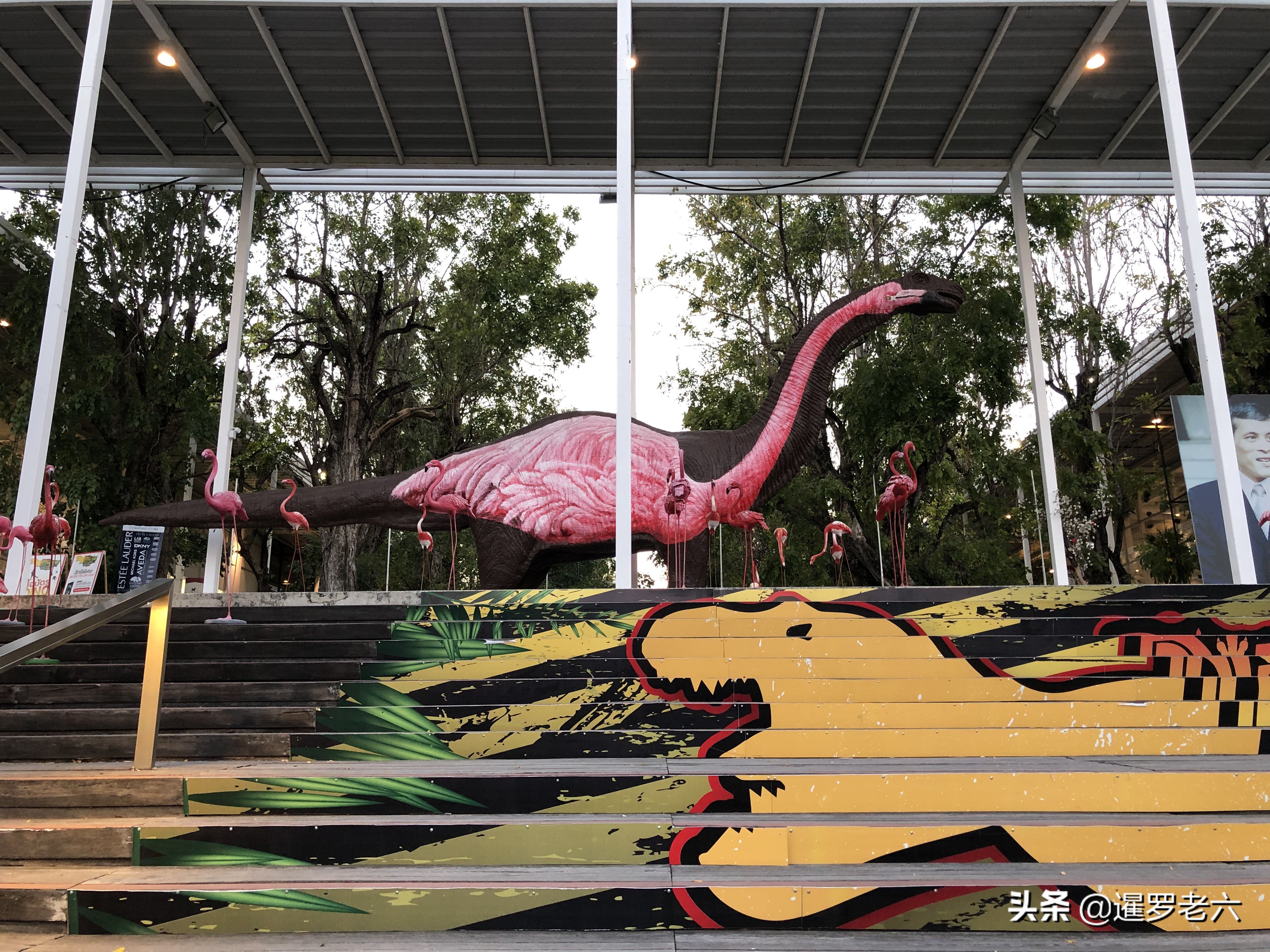 去泰国华欣浮潜,泰国华欣到普吉岛旅游攻略