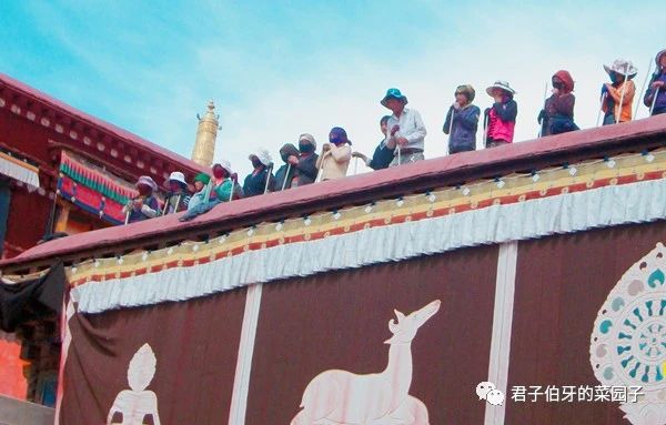 西藏之行布达拉宫,西行散记布达拉宫