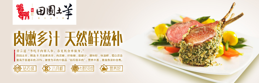 冲突品牌营销策划案例分析——鑫沃牧业