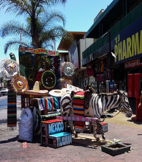 墨西哥蒂华纳现在时间,墨西哥蒂华纳市简介