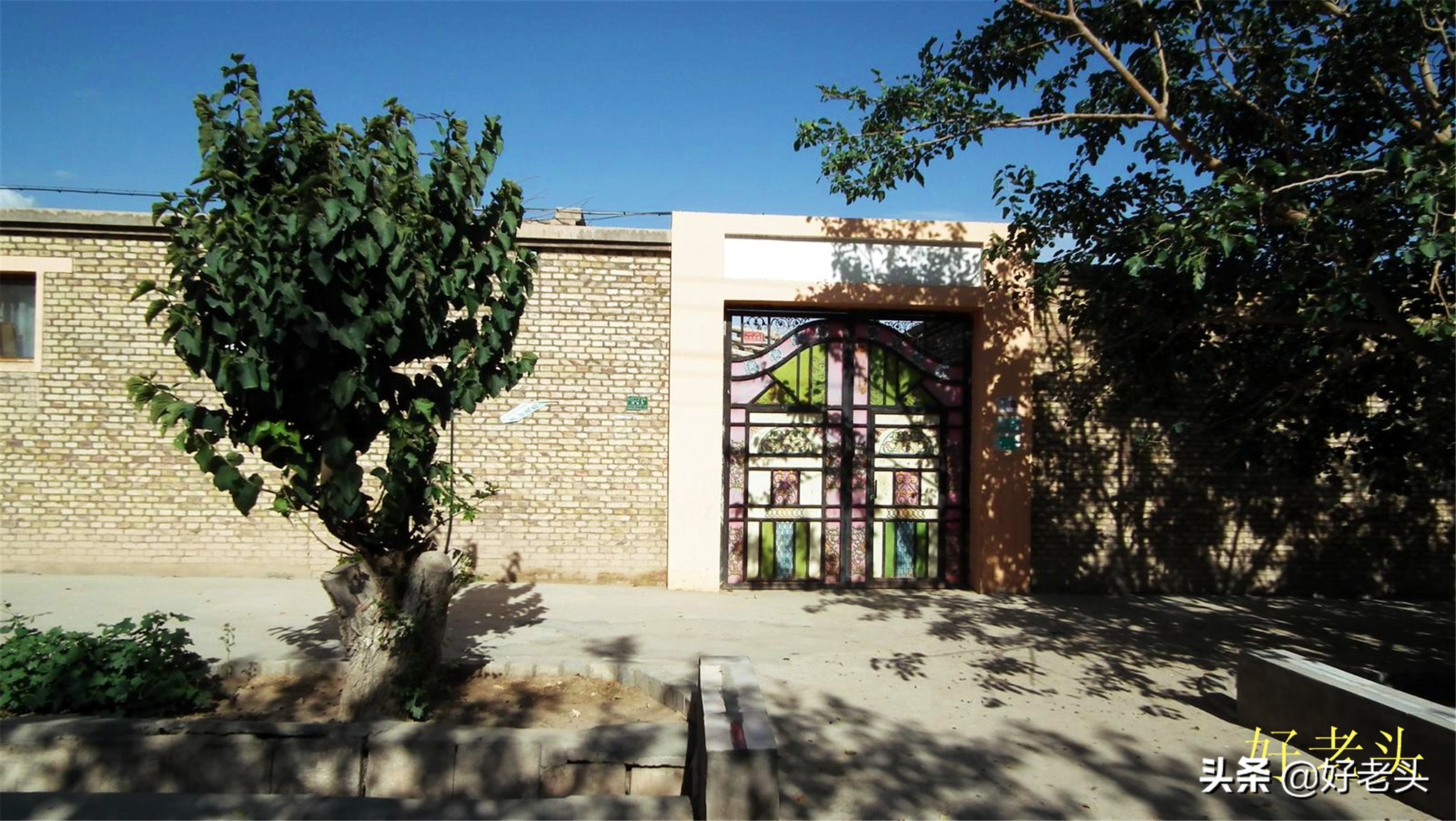 库尔勒轮台胡杨林风景区,胡杨林景区轮台