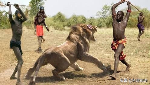 世界上最凶猛的战斗民族,最凶狠战斗民族