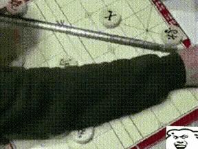 在山上遇到什么野果,在山上遇到哪些野菜