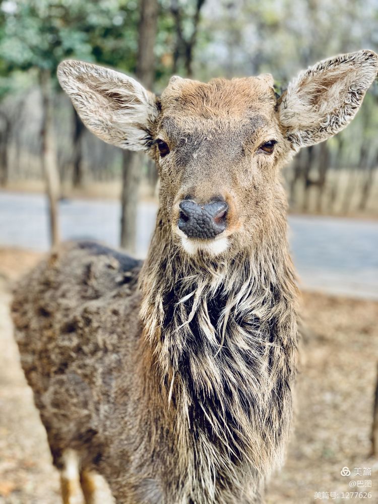 洛阳市宜阳凤凰岭射箭,宜阳县凤凰岭体育基地