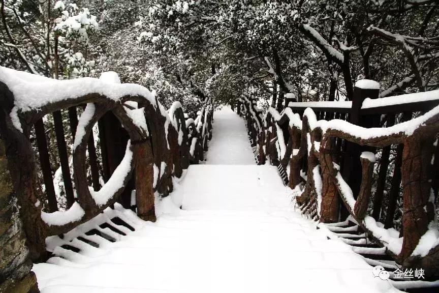 西安金丝峡雪景,陕西金丝峡冬天