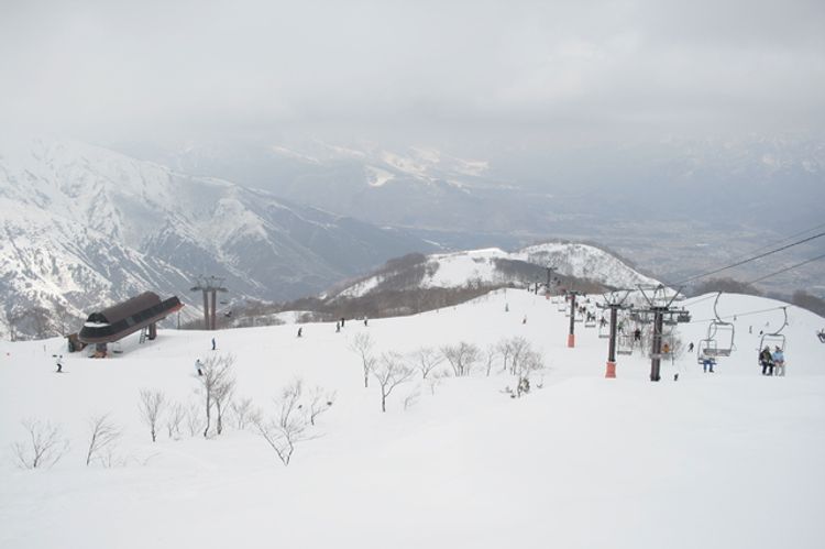 「日本自由行」严选10处长野县白马地区人气滑雪场