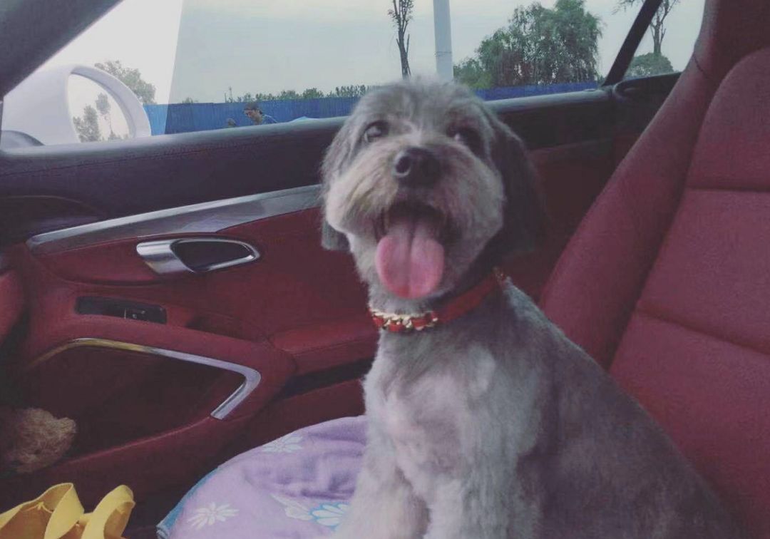 试驾马自达3昂克赛拉手动挡2020,马自达3昂克赛拉手动1.5试驾