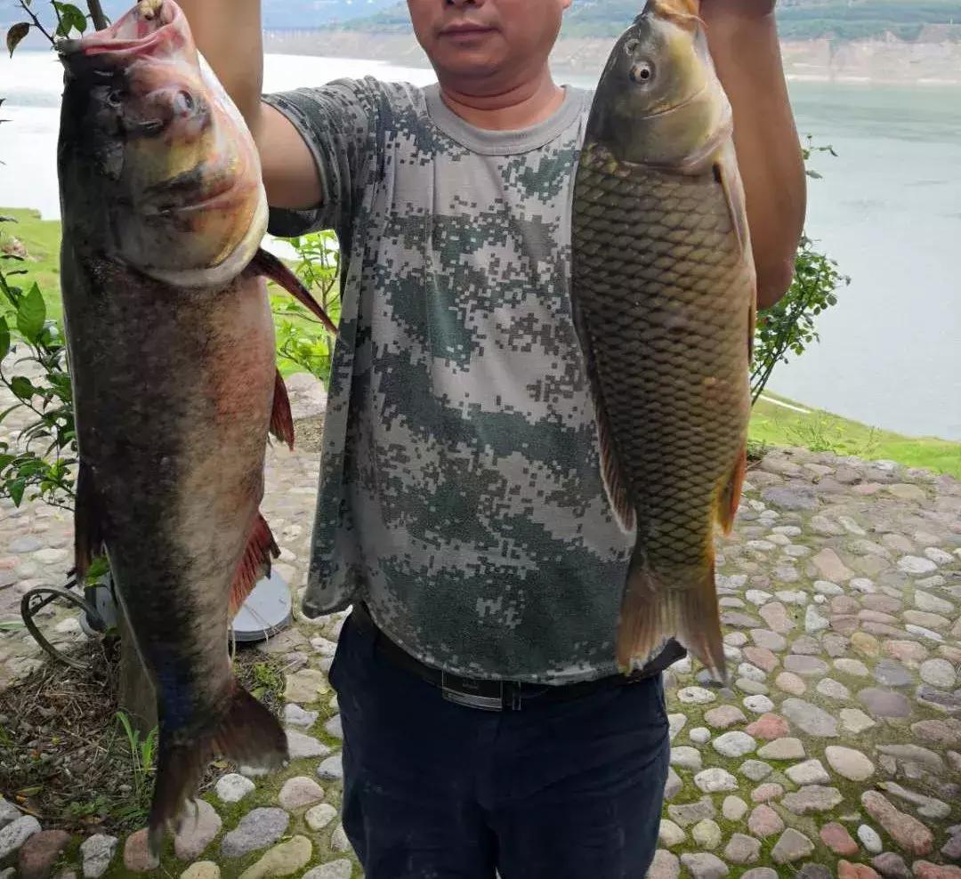 手竿钓草鱼还是海竿好,钓草鱼用海竿还是手竿好