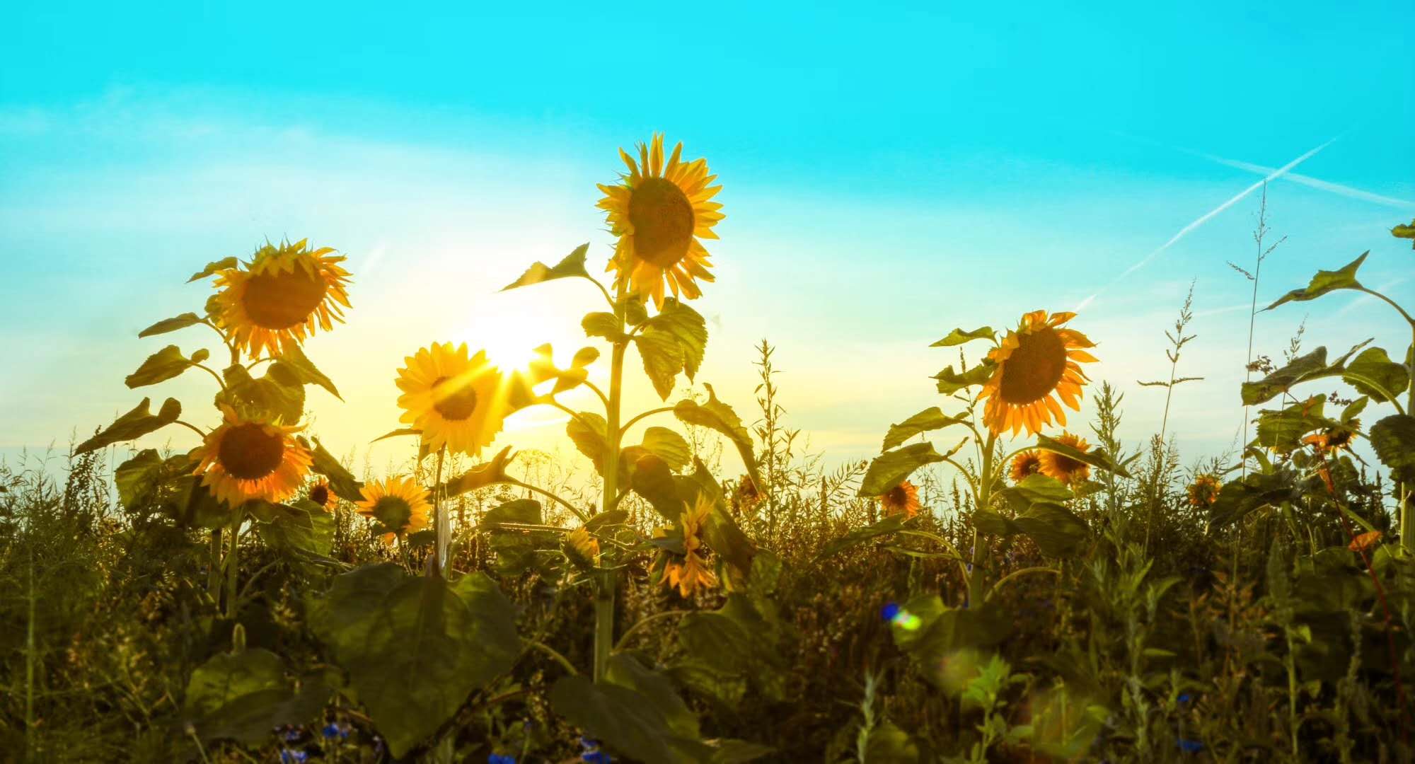 会计专业大学生的就业准备,会计专业毕业生应该如何规划